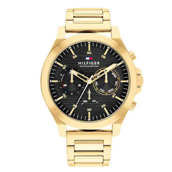 TOMMY HILFIGER ORE TH1710520