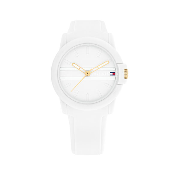 TOMMY HILFIGER ORE TH1782687