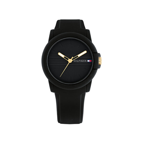 TOMMY HILFIGER ORE TH1782688