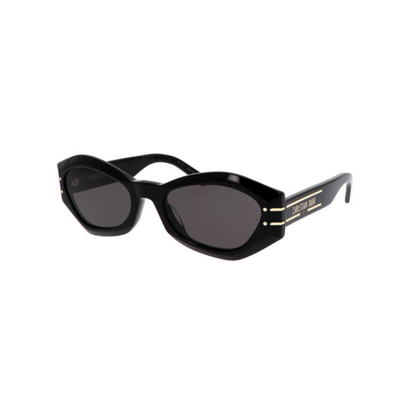 DIOR SYZE DIORSIGNATURE B1U 10A0