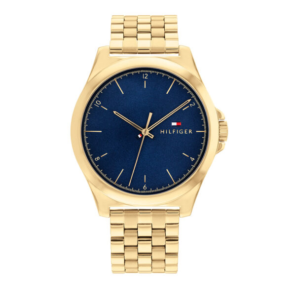 TOMMY HILFIGER ORE TH1710546