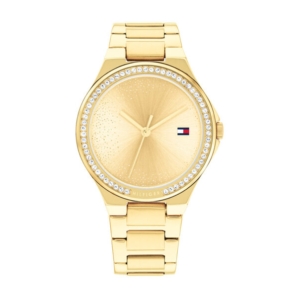 TOMMY HILFIGER ORE TH1782642