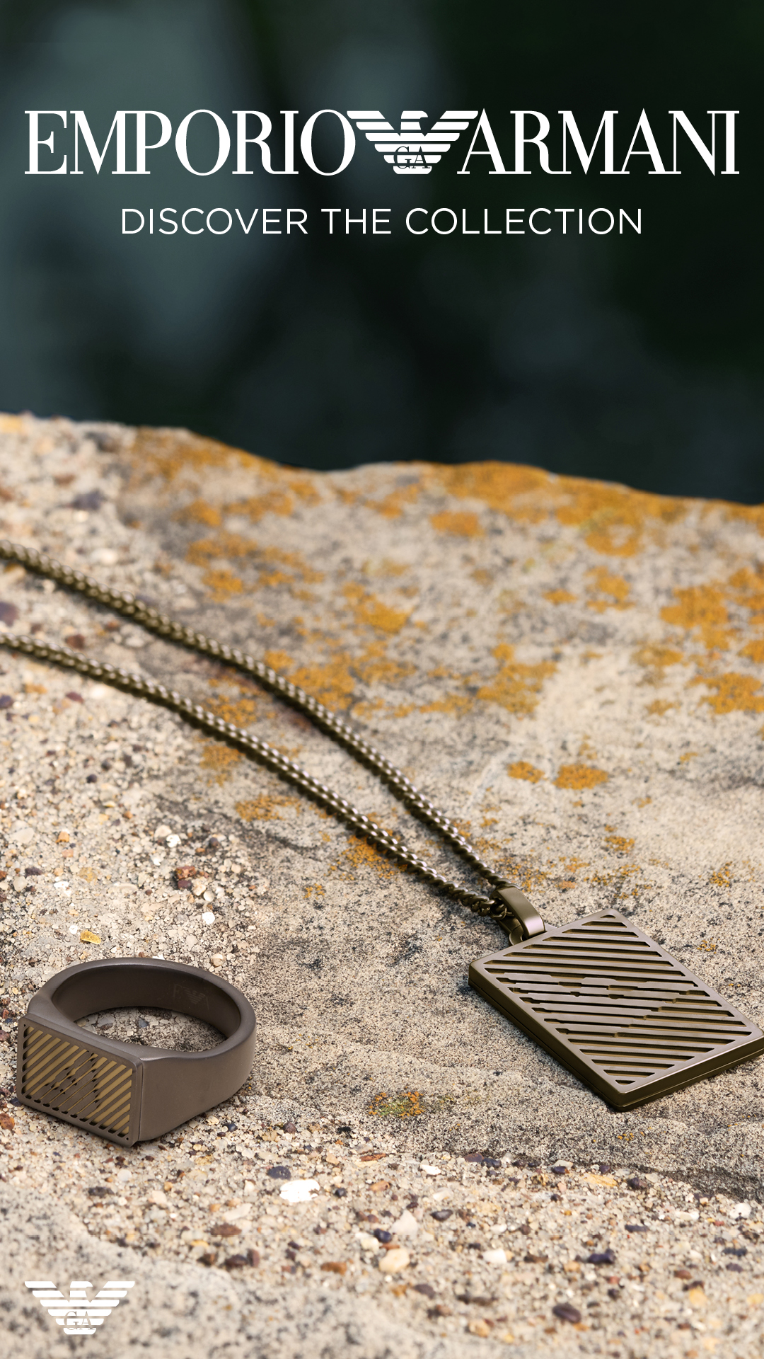 ea_fh25_standard_assets