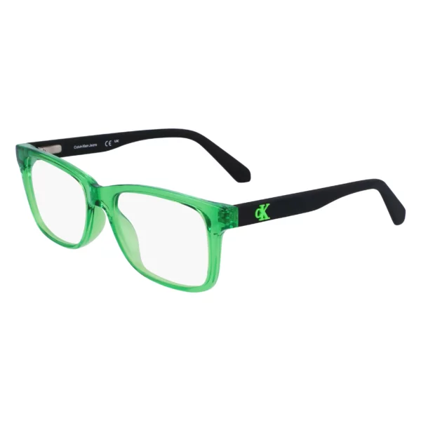 CALVIN KLEIN KORNIZE CKJ23301 300