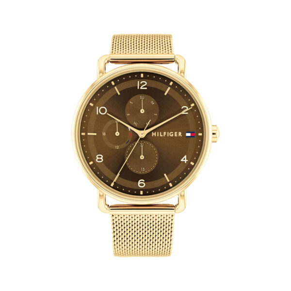 TOMMY HILFIGER ORE TH1782663