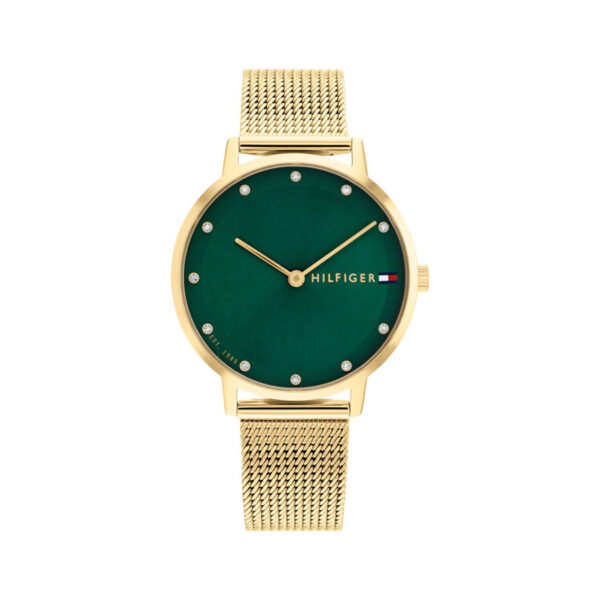 TOMMY HILFIGER ORE TH1782668