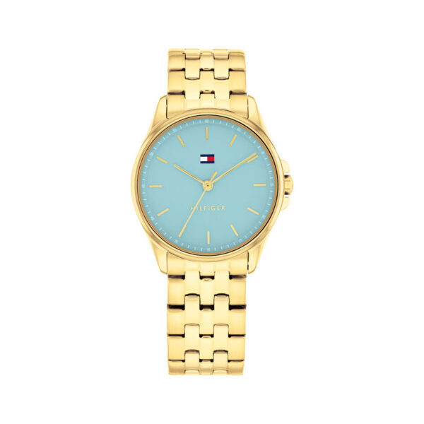 TOMMY HILFIGER ORE TH1782776