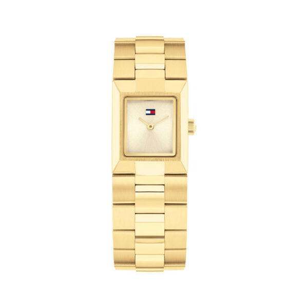 TOMMY HILFIGER ORE TH1782787
