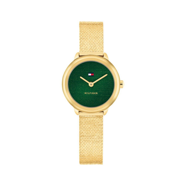 TOMMY HILFIGER ORE TH1782812