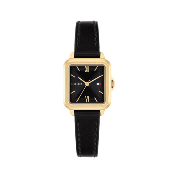 TOMMY HILFIGER ORE TH1782835
