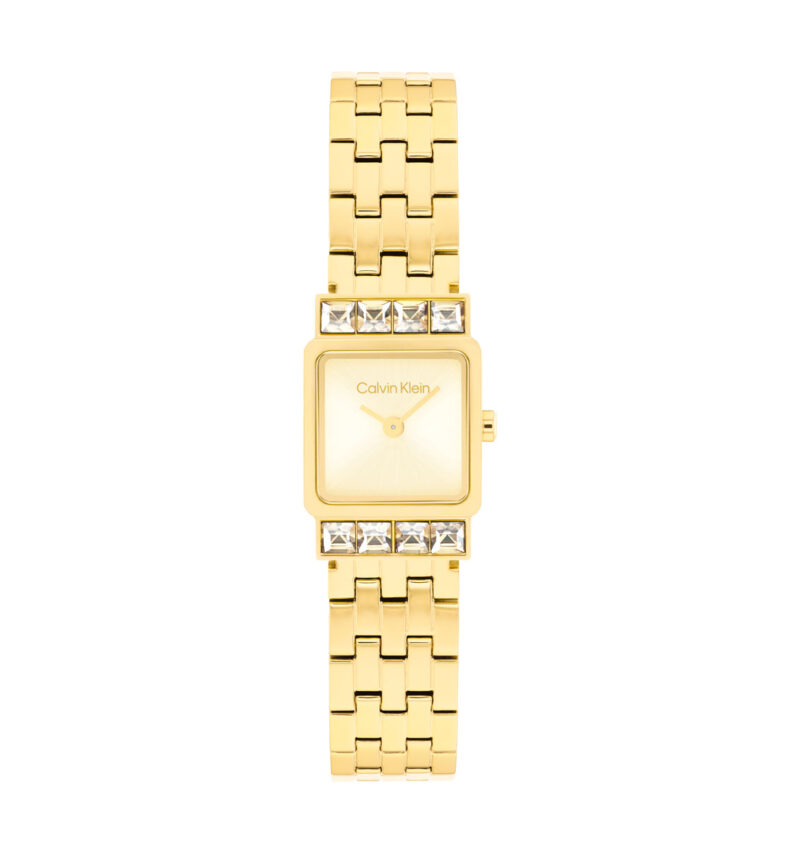 CALVIN KLEIN CKW25100162