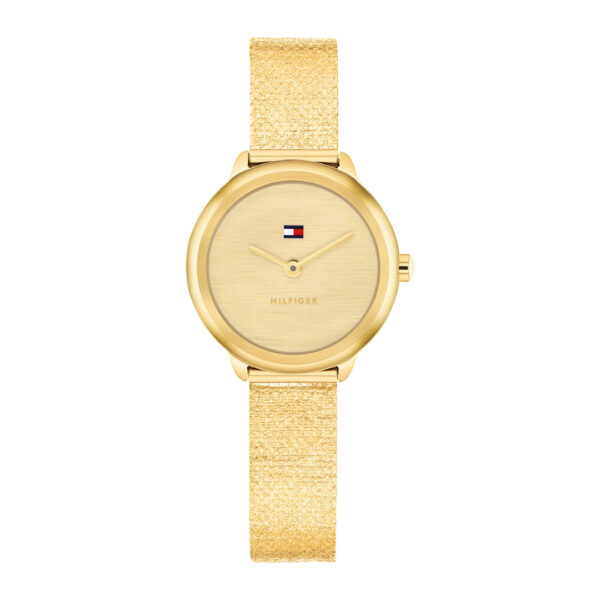 TOMMY HILFIGER ORE TH1782811