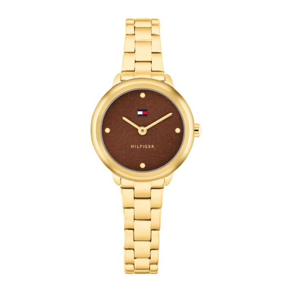 TOMMY HILFIGER ORE TH1782815