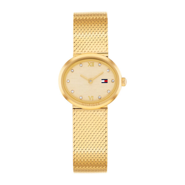TOMMY HILFIGER ORE TH1782847