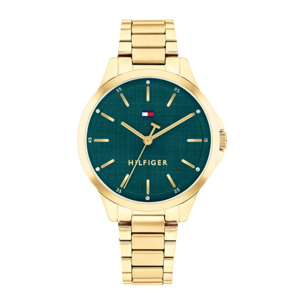 TOMMY HILFIGER ORE TH1782860
