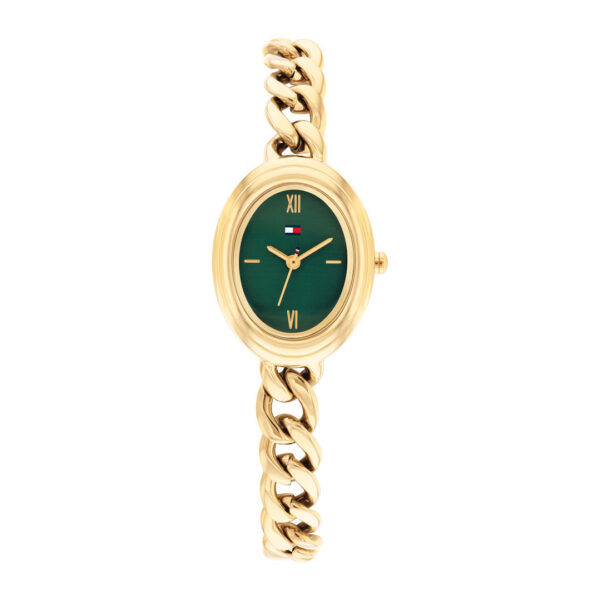 TOMMY HILFIGER ORE TH1782877