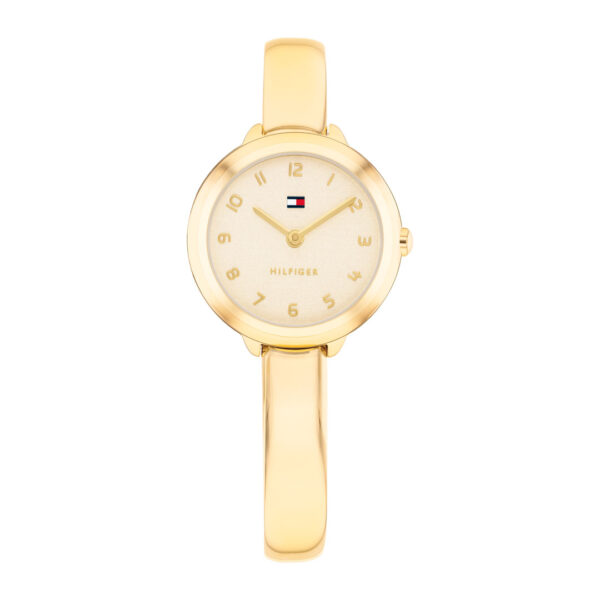 TOMMY HILFIGER ORE TH1782895