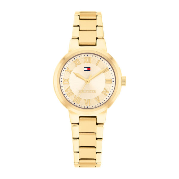 TOMMY HILFIGER ORE TH1782905